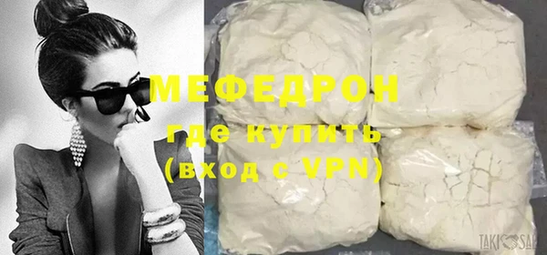 индика Новозыбков