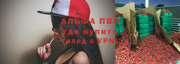 индика Новозыбков