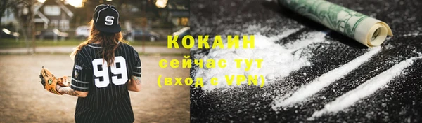 индика Новозыбков