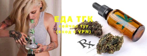 индика Новозыбков