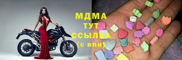 индика Новозыбков