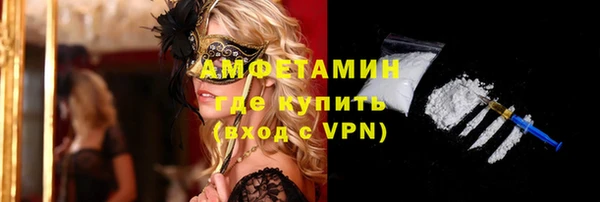 индика Новозыбков