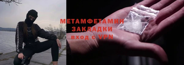 индика Новозыбков