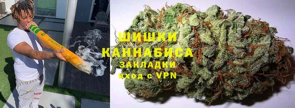 индика Новозыбков