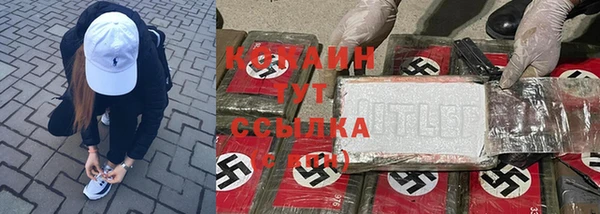 индика Новозыбков