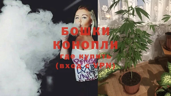 метадон Новодвинск