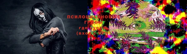 метадон Новодвинск