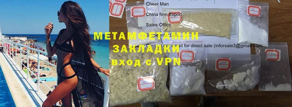 индика Новозыбков