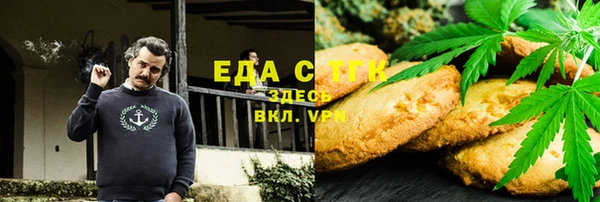 индика Новозыбков