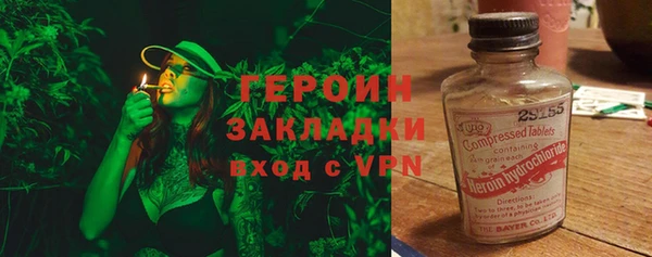 индика Новозыбков